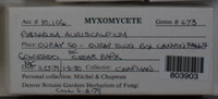 Image Associated With the Occurence
